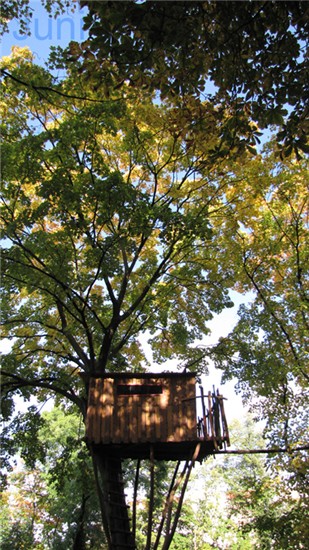  Baumhaus 2013