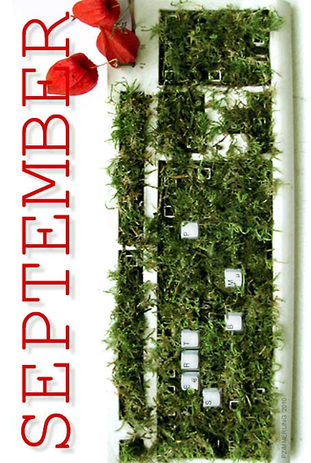 september 2010 pzi