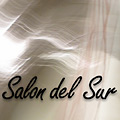 salon del sur 120